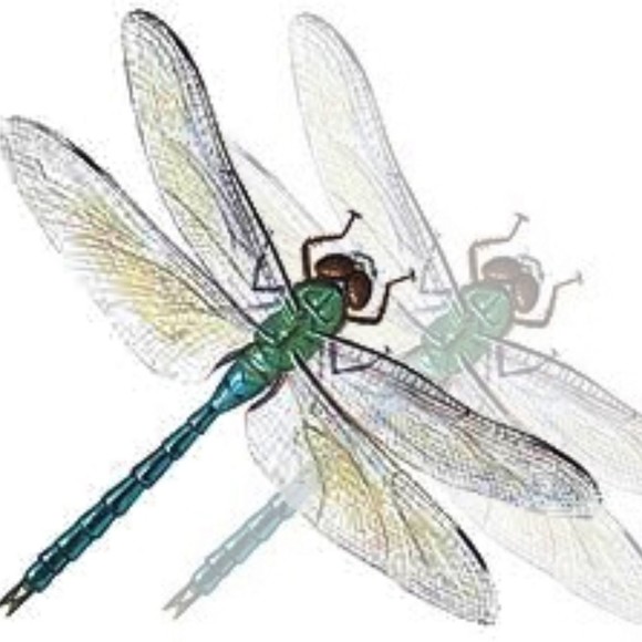 geminidragonfly